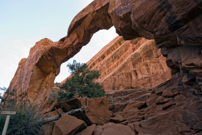 Wall Arch