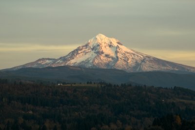 Mt. Hood