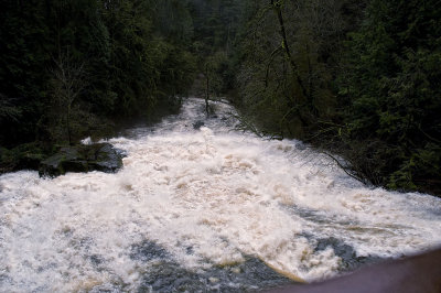 Lacamas Creek from the Bridge