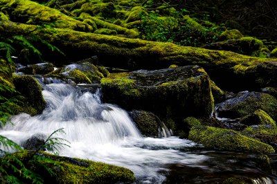 A little piece of the creek at  lower Proxy Falls