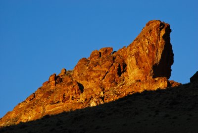 Leslie Gulch Giant Lizard