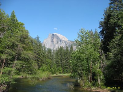 Img_1954a.jpg