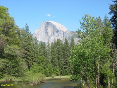 Img_1955a.jpg