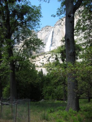 Yosemite 5-07-04 004.jpg