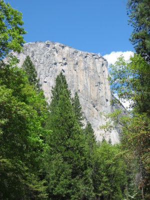 Yosemite 5-07-04 011.jpg