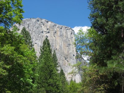 Yosemite 5-07-04 012.jpg