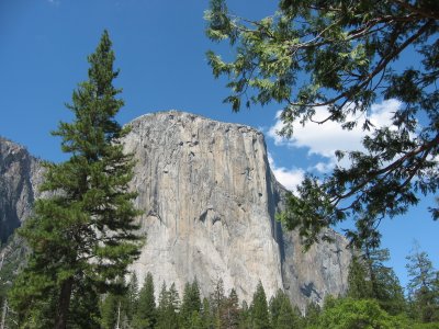 Yosemite 5-07-04 018.jpg