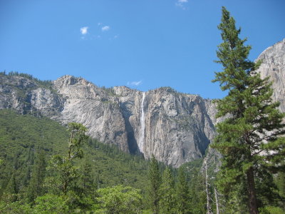 Yosemite 5-07-04 019.jpg