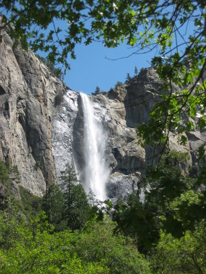 Yosemite 5-07-04 021.jpg