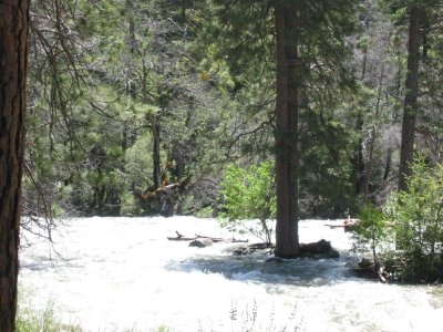 IMG_0020.JPG
