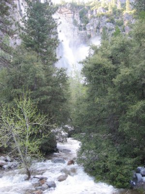 Img_0095.jpg