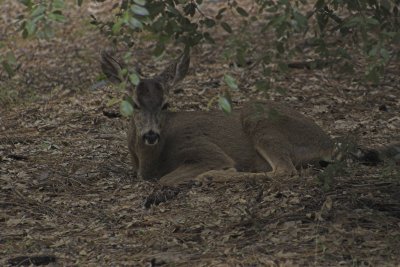CRW_0599-01.jpg