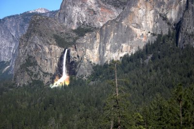 CRW_2010-01a.jpg