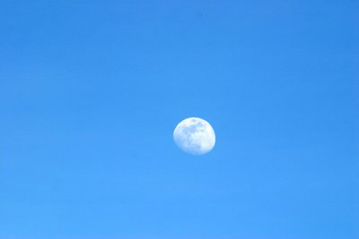 IMG_1140pb.JPG