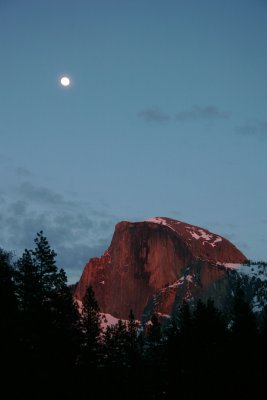 Img_1249pb.jpg