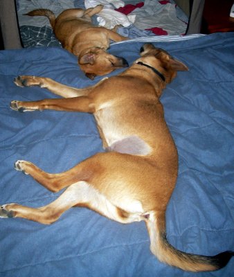 More synchronized sleeping.