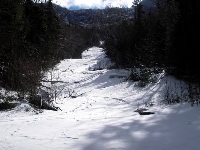 Upper Bennies