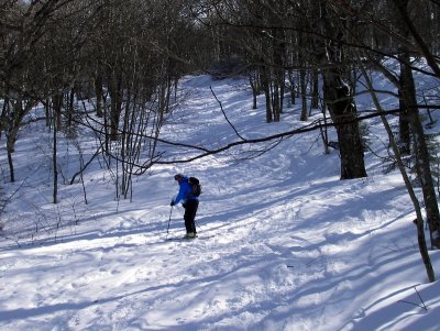 Lower Teardrop trail