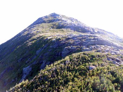 Haystack summit