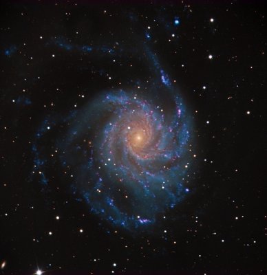 g1/24/838224/3/107662238.obiYLJsN.jpg
