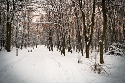 _MG_9714.jpg
