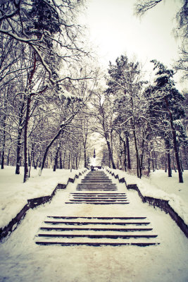 _MG_9720.jpg