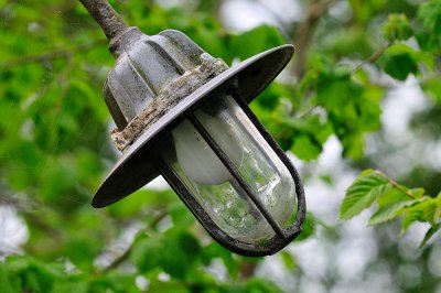 Elm Cottage Lamp II