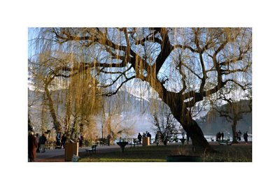 lac d'Annecy