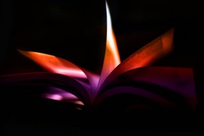 light in the book ...to the knowledge of love