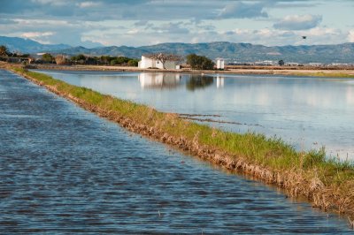 Delta de l'Ebre