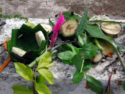 Offering3, Laos