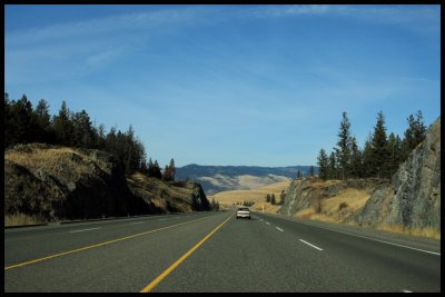 IMG_2206.JPG