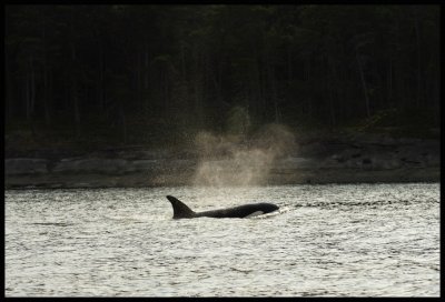IMG_0717.JPG