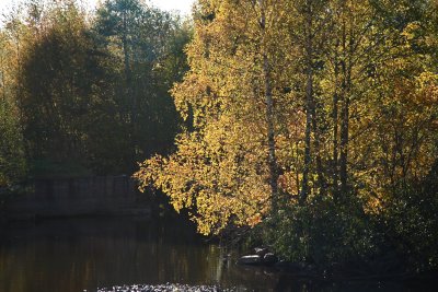 River Kolbcksn in autumn light