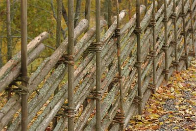 Old fence poles