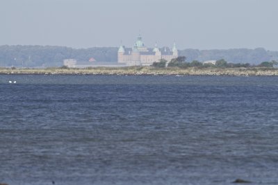 Kalmar Wasa Castle.
