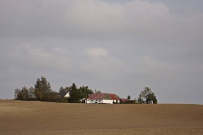 Agrarian landscape I