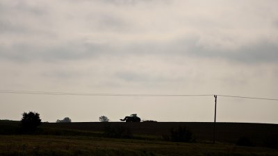 Agrarian landscape II