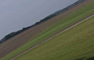 Agrarian landcape III