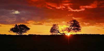Sunrise
