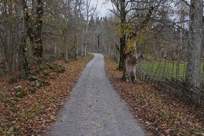 The Old Road.