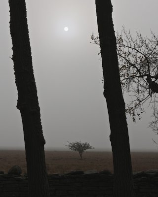 Morning sun rising thru mist