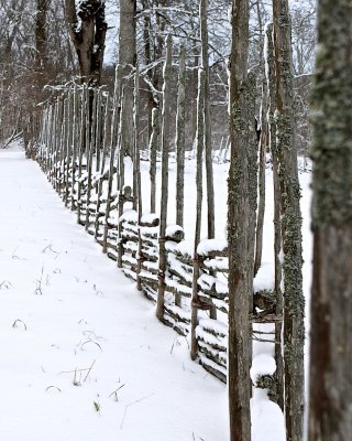 First snow on fence.jpg
