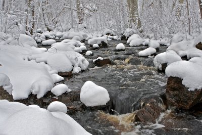A snowy creek