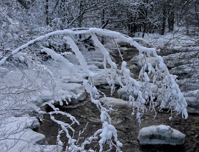 Snow dressed branch over a creek