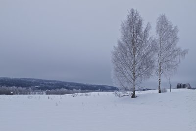 BAGGÅDALEN a grey winter day