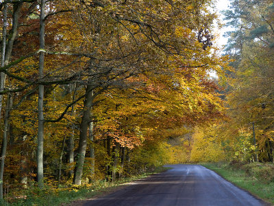 Stepnica Autumn colours