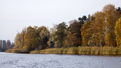 Oderdelta; Poland