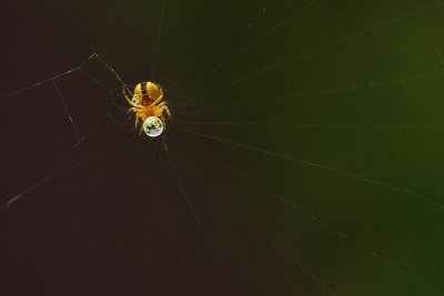 Dans sa bulle...