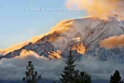 Shasta - McCloud Side